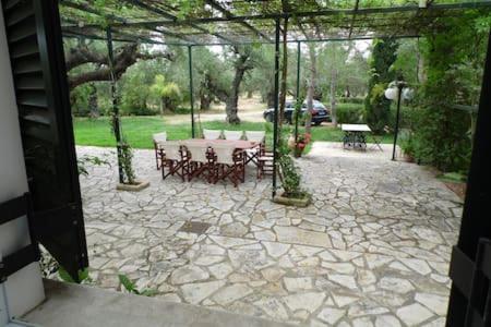 Theni Olive Grove Villa Kato Yerakarion Экстерьер фото