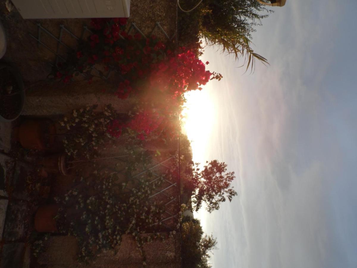 Theni Olive Grove Villa Kato Yerakarion Экстерьер фото