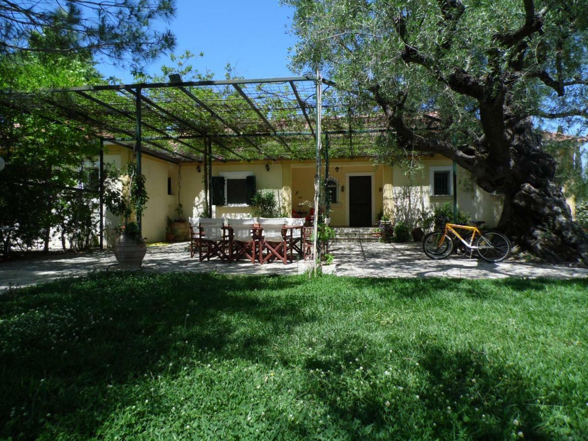Theni Olive Grove Villa Kato Yerakarion Экстерьер фото
